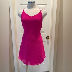 Naked Zebra Hot Pink Dress